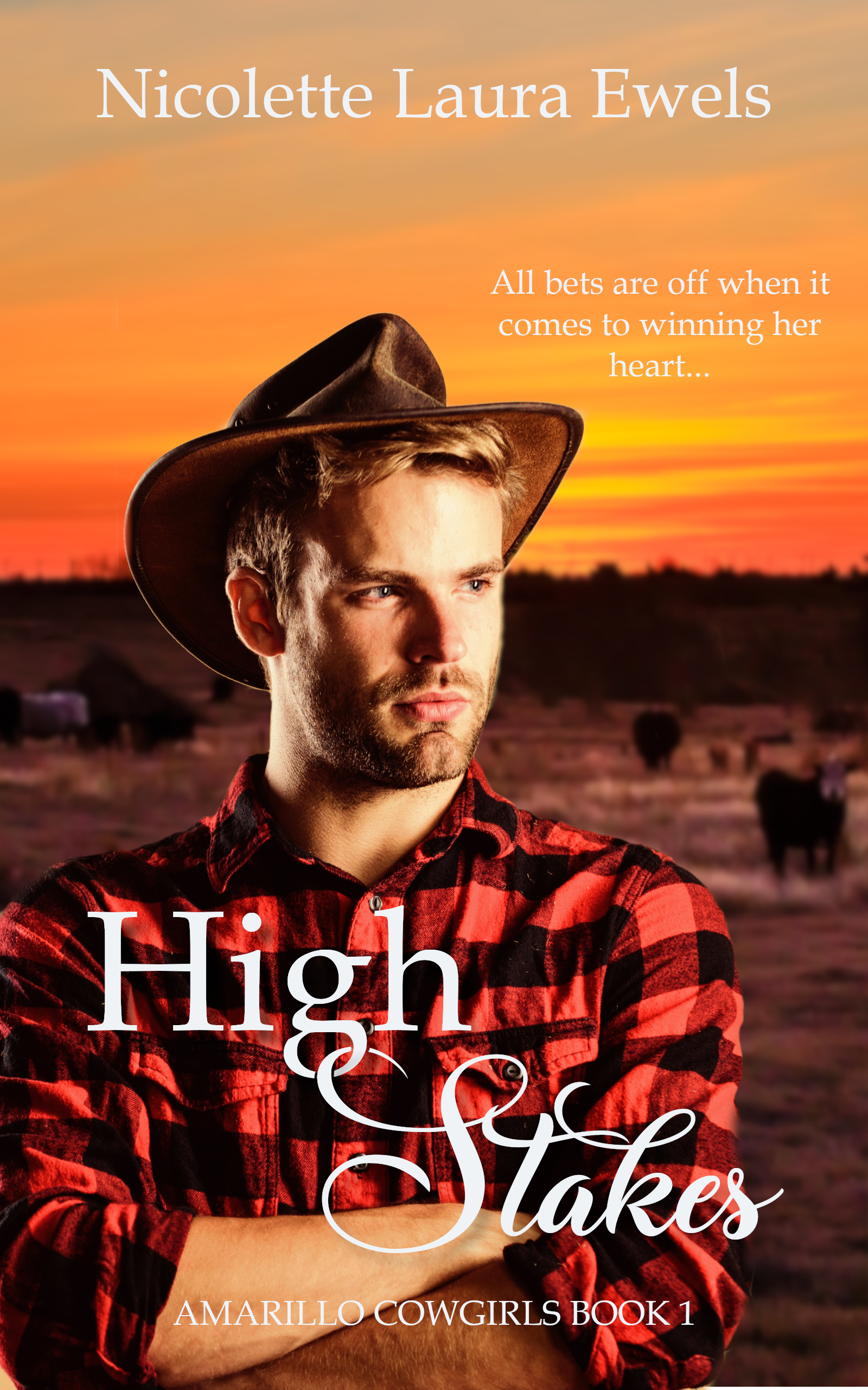 High Stakes by Nicolette Laura Ewels